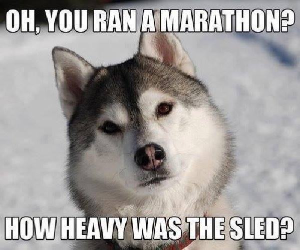 marathon how heavy was sled