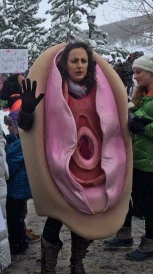 Women's march, Washington DC, January 23, 2017